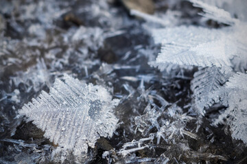 Close-up of crystal dendrite, snowflake of multi-branching tree-like form. Winter nature macro...