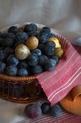 Fresh blueberry in the basket