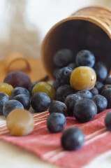 Fresh blueberry in the basket
