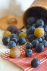 Fresh blueberry in the basket