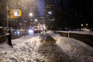 Central Park in snow, New York City