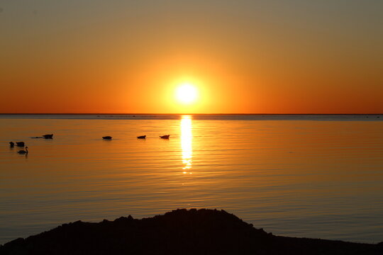 Sonnenuntergang auf &Ouml;land Schweden