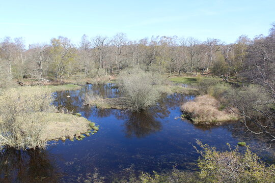 Naturschutzgebiet Ottenby