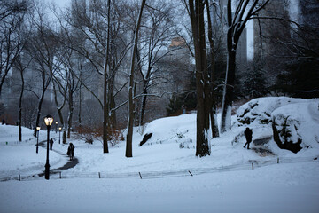 Central Park in snow, New York City