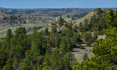 Green pine trees on the hills in a valley among the mountains in Montana