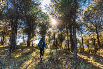 Fototapeta premium Stock photo of unrecognized man walking in the forest and wearing backpack.