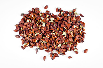 Texture of beech nuts on a white background. Lots of peeled nuts on a pile close up.