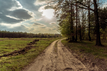 Country road on sunny day