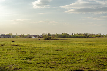 Fototapeta na wymiar Panoramic view of meadow