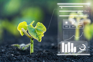 Smart farm technology of monitoring the growth of sprougt plants with design infographics....