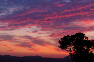 Por do sol roxo com silhueta