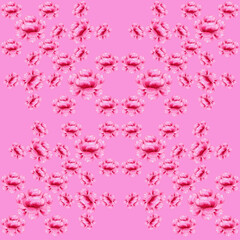 Pink peonieson a blue background