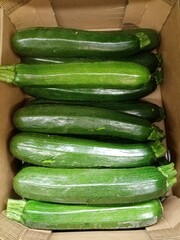 zucchini on the table