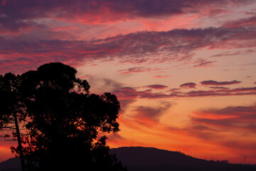 Por do sol roxo com silhueta