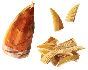 たけのこ　水彩風