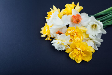 Bouquet of white and yellow narcissus flowers on blue background. Valentines day present for beloved woman