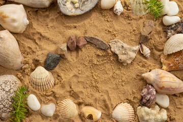 seashells and beach stones on the sand on a sunny day. Marine items on a beach while on vacation.