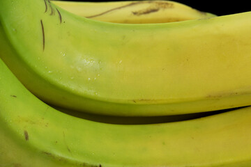 alcune banane di un bel colore sfumato tra il giallo e il verde isolate, foto di banane in studio,...