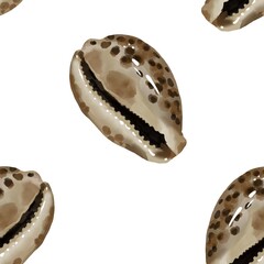 Pattern seashell on background. high quality watercolor illustration. marine design