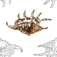 Pattern seashell on background. high quality watercolor illustration. marine design