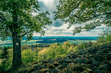 alte gebäude landschaft und tiere in der natur mit bäumen 