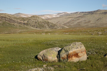 Scenic landscape on Valdesflye  in Norway