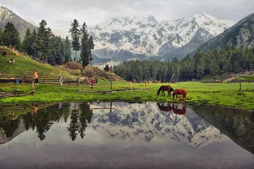 Foto op Plexiglas Nanga Parbat landschappen van bergenmeer met weerspiegeling van paarden in het kalme water, sprookjesweiden en nanga parbat in Himalayagebergte, Pakistan
