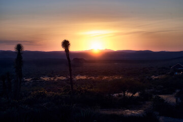 Atardecer en desierto, Desert  San Luis Potosi  Sunset, Mexico