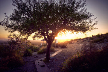 atardecer en desierto de San Luis Potosi, Cabin,Desert Tree, Mexican Plateau