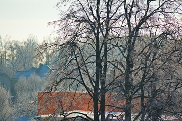 Trees covered with frost on a frosty morning, Moscow region.