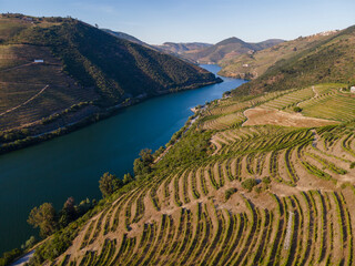 Douro Valley near Peso da Régua