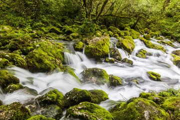 Gljun stream source near Bovec village, Slovenia