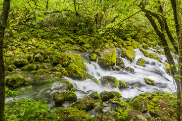 Naklejka na ściany i meble Gljun stream source near Bovec village, Slovenia