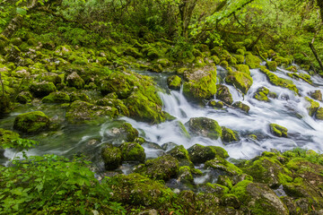 Fototapeta na wymiar Gljun stream source near Bovec village, Slovenia