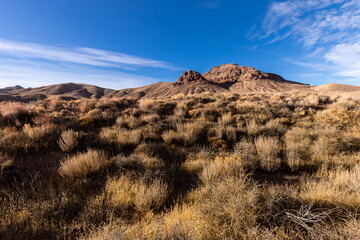 Vegetation and hills under a blue sky along the Titus Canyon Road in Death Valley National Park, California
