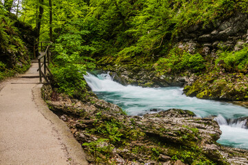 Fototapeta premium Vintgar gorge near Bled, Slovenia