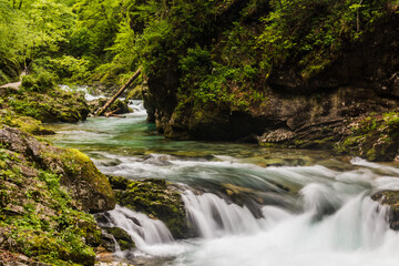 Vintgar gorge near Bled, Slovenia