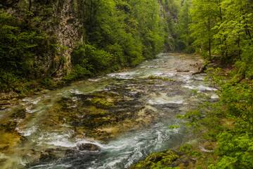 Vintgar gorge near Bled, Slovenia