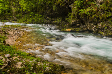 River Radovna in Vintgar gorge near Bled, Slovenia