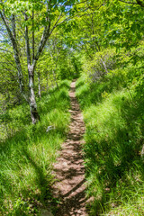 Hiking trail near Skocjan Caves, Slovenia