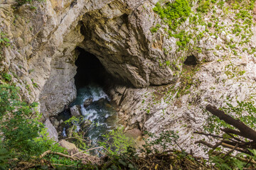 Fototapeta premium Deep gorge near Skocjanske jame (Skocjan Caves), Slovenia