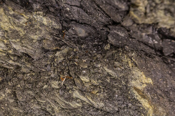Mercury-rich mineral in an abandoned mercury mine in Idrija, Slovenia.