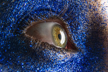 Side profile of blue, sparkle glitter eye with eyelashes and eyebrow in close detailed, macro shot. 