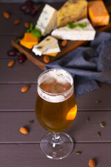 Beer and cheese. Glass of beer with cheese and walnuts. Ale and food concept