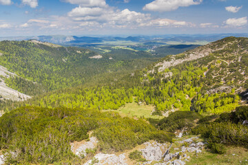 Fototapeta na wymiar Landscape of Durmitor national park, Montenegro.