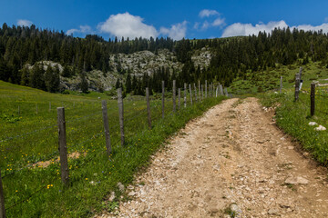 Path in Durmitor mountains, Montenegro