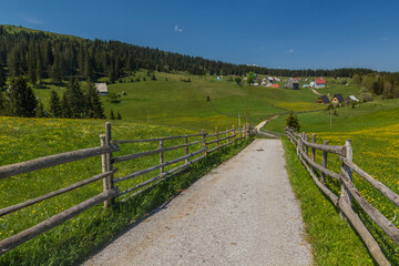 Fototapeta na wymiar Bosaca village in Durmitor mountains, Montenegro