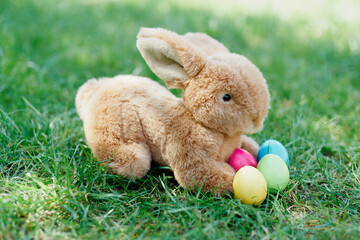Oster Hase,  Ostern Eier auf Grass,