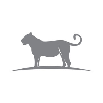 Tiger Animal Emblem Mascot Graphic Template Illustration