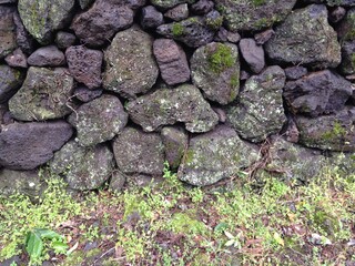 moss on stone